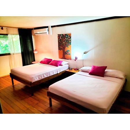 Cabinas Coconut Grove Puerto Viejo de Talamanca Екстер'єр фото